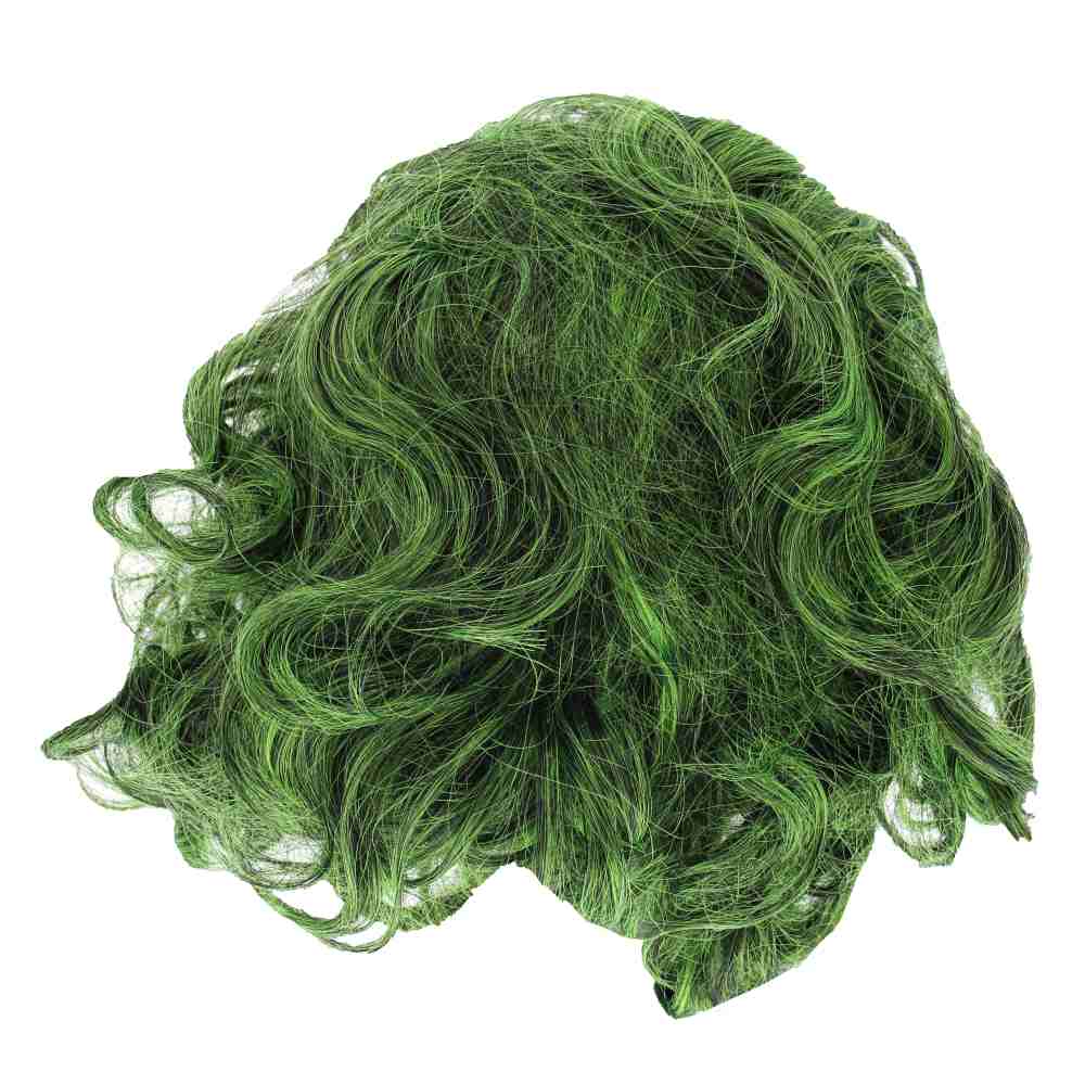 Zac's Alter Ego - Green Joker Perruque - Vert